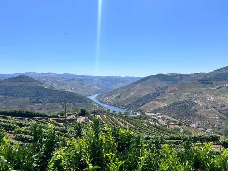 Porto: Douro Valley Tour with 3 Wineries and Lunch - Key points at a glance