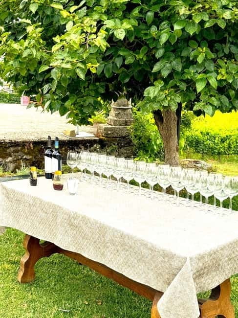 Porto: Douro Valley Tour with 3 Wineries and Lunch - Why this Douro Valley day works well from Porto