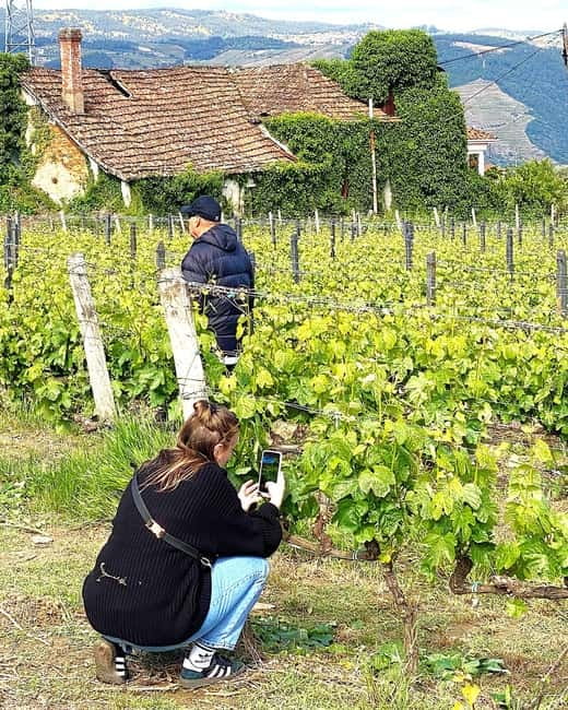 Porto: Douro Valley Tour with 3 Wineries and Lunch - What the $155 price includes
