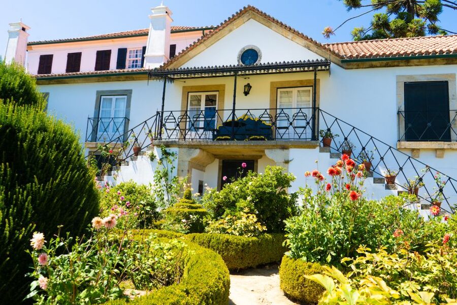 Porto: Douro Valley Tour with Lunch, Boat Cruise & Tastings - Who should book this $82 day trip