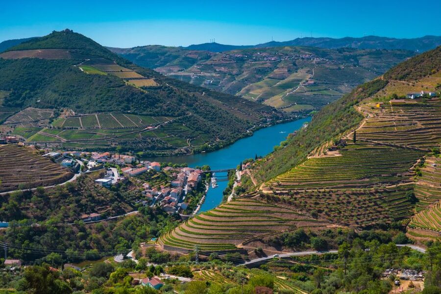 Porto: Douro Valley Tour with Lunch, Boat Cruise & Tastings - Lunch in a wine cellar