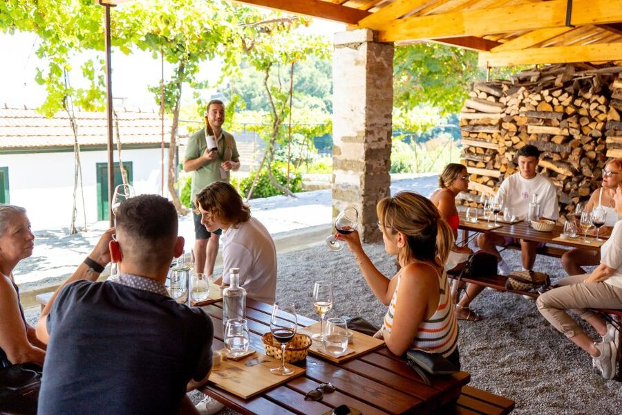 Porto: Douro Valley Tour with Lunch, Boat Cruise & Tastings - Pinhão and the Douro River cruise