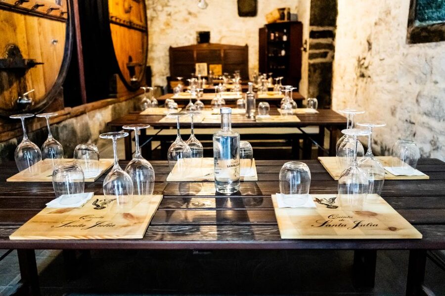 Porto: Douro Valley Tour with Lunch, Boat Cruise & Tastings - Guides, drivers, and the mood on board
