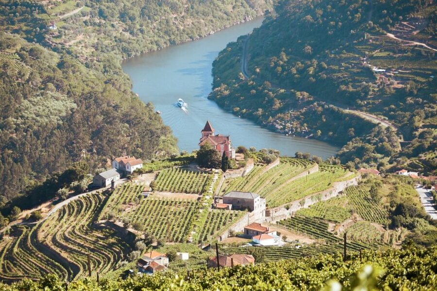 Porto: Douro Valley Tour with Wine Tasting, Cruise and Lunch - First winery: how Douro wine becomes port