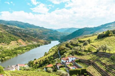 Douro Valley Tour with Wine Tasting, Cruise and Lunch