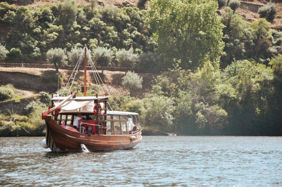 Porto: Douro Valley Tour with Wine Tasting, Cruise and Lunch - Lunch with local wine