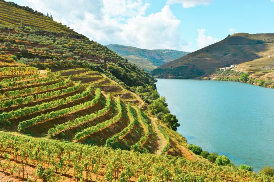 Porto: Douro Valley Tour with Wine Tasting, Cruise and Lunch - Sabrosa photo stop and the return to Porto
