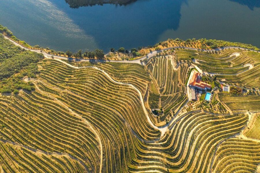 Porto: Douro Valley Tour with Wine Tasting, Cruise and Lunch - What $76 gets you