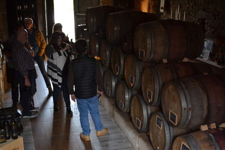 Porto: Douro Valley Vineyards Tour with Lunch & River Cruise - Why the Douro Valley is worth a full day from Porto
