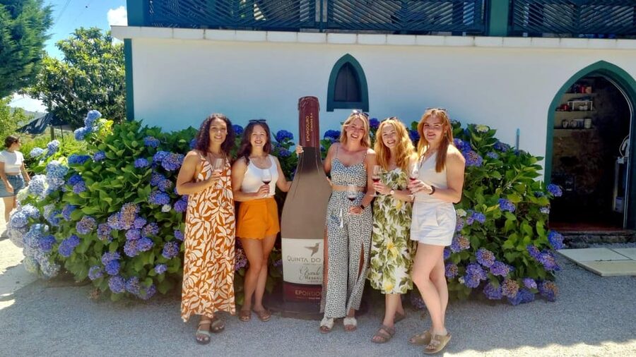Porto: Douro Valley Vineyards Tour with Lunch & River Cruise - The second family winery