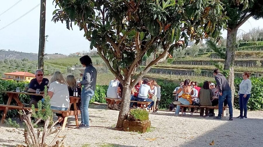 Porto: Douro Valley Vineyards Tour with Lunch & River Cruise - Transport, pickup, and the pace of the day