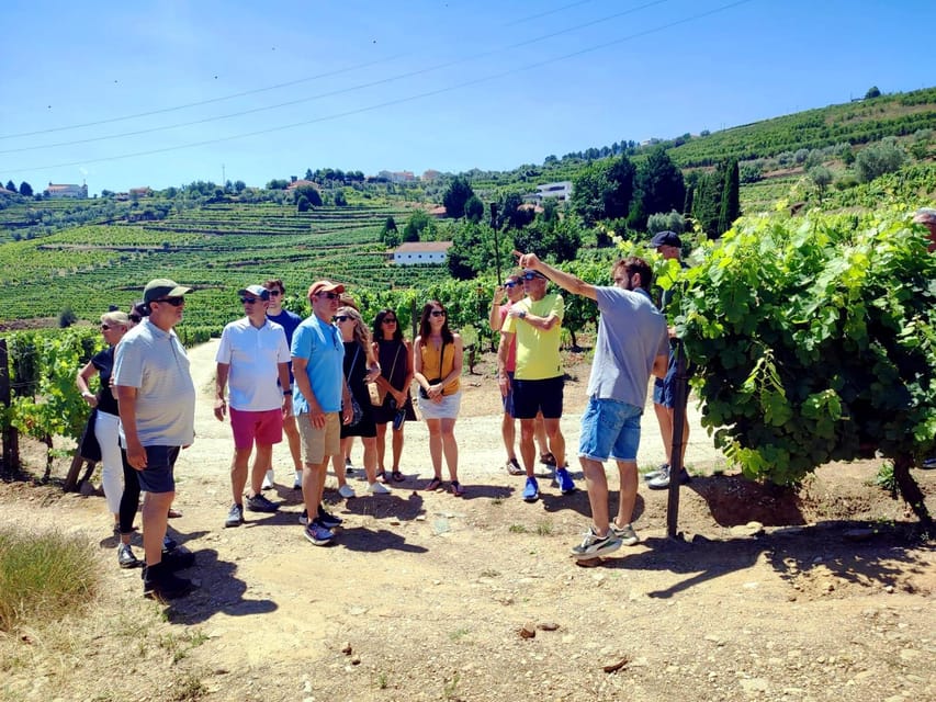 Porto: Douro Valley Vineyards Tour with Lunch & River Cruise - Lamego and the first winery tasting