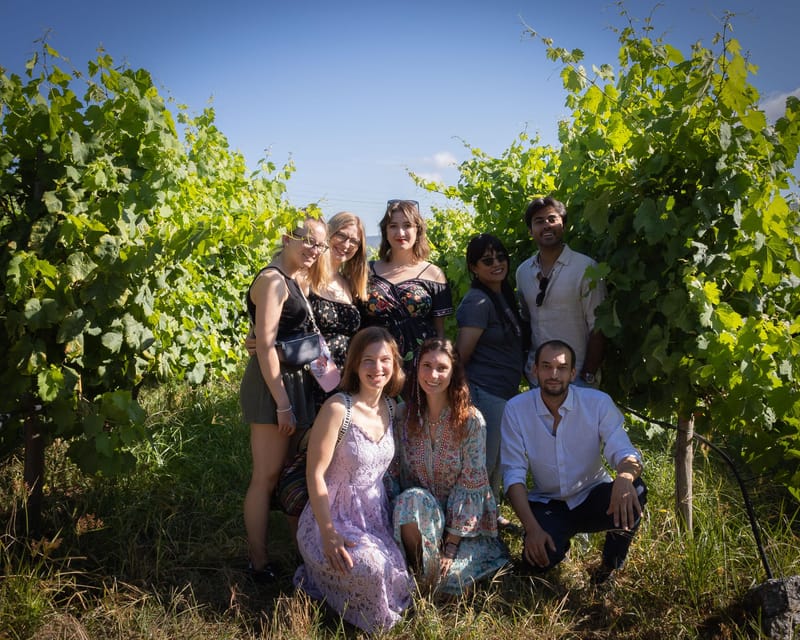 Porto: Douro Valley Wine Tour with a Sommelier & Boat Trip - What the sommelier guide adds
