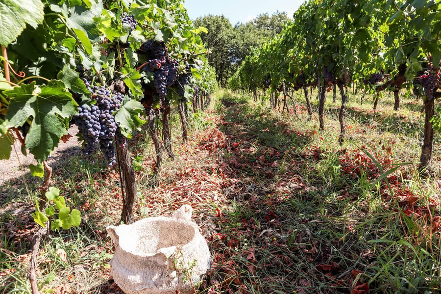 Porto: Douro Valley Wine Tour with a Sommelier & Boat Trip - The pace, group size, and practical tradeoffs
