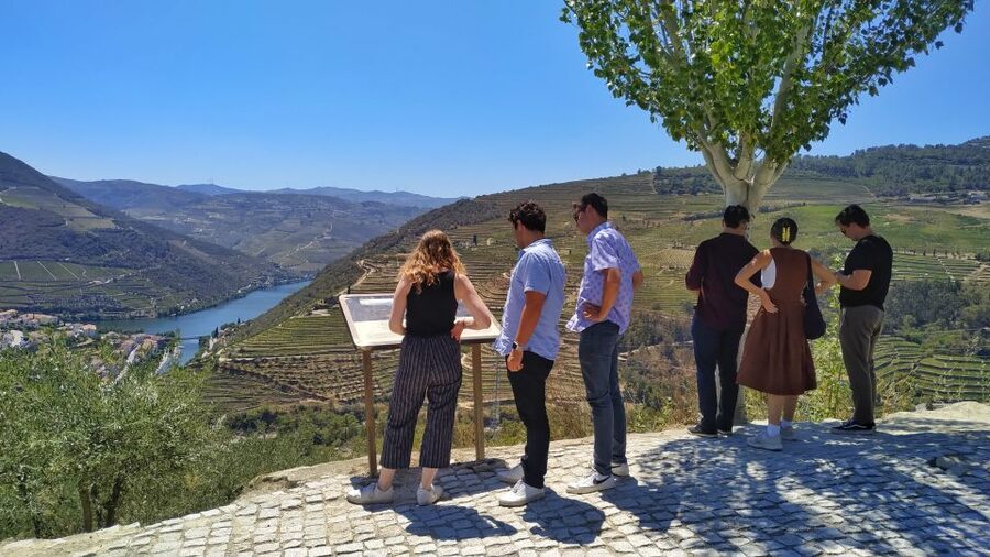 Porto: Douro Valley Wine Tour with Tastings, Boat, and Lunch - Why this Douro day works so well