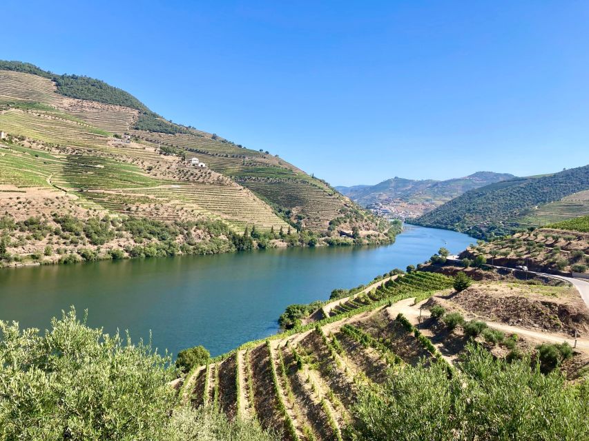 Porto: Douro Valley Wine Tour with Tastings, Boat, and Lunch - The first winery and the story of Port