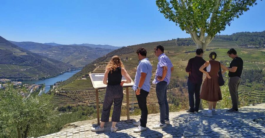 Porto: Douro Valley Wine Tour with Tastings, Boat, and Lunch - What makes the guide important