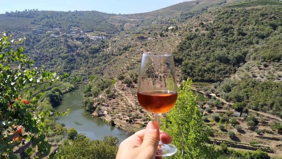 Porto: Douro Valley Wine Tour with Tastings, Boat, and Lunch - The small-group advantage