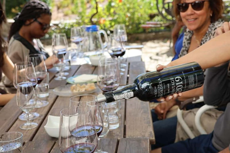 Porto: Douro Valley with Small Wineries, Lunch and Boat Tour - First winery tasting, about 90 minutes