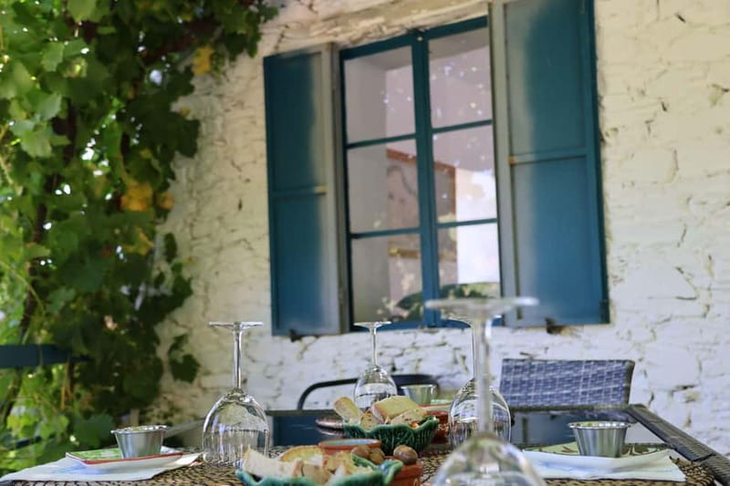 Porto: Douro Valley with Small Wineries, Lunch and Boat Tour - A quick Douro River photo stop