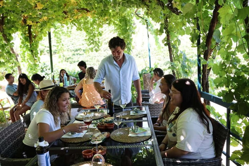 Porto: Douro Valley with Small Wineries, Lunch and Boat Tour - Lunch with local food