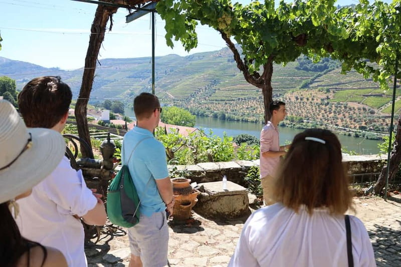 Porto: Douro Valley with Small Wineries, Lunch and Boat Tour - The N222 scenic drive