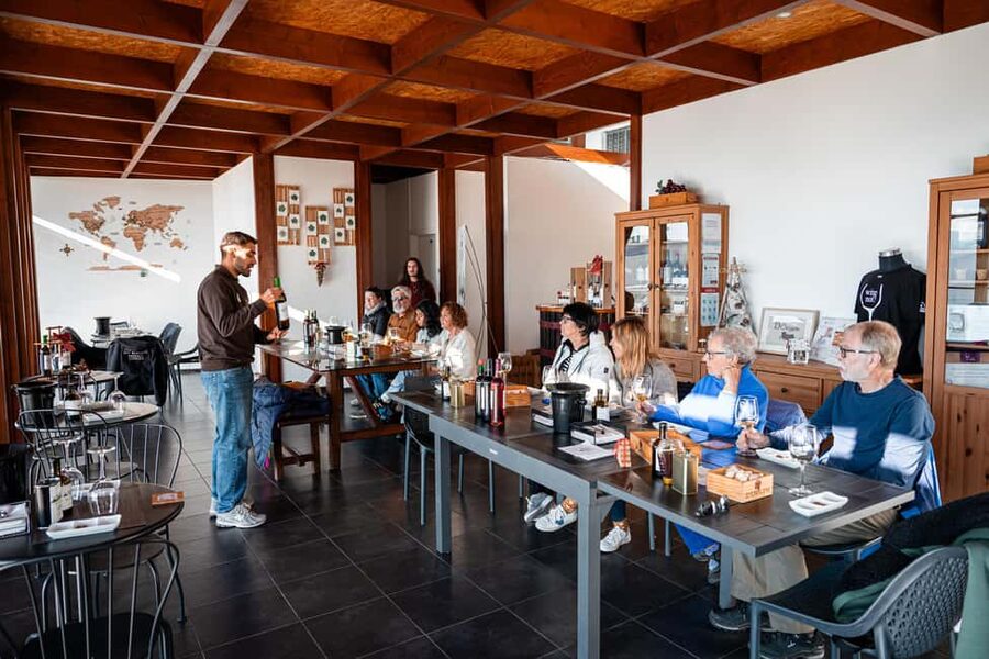 Porto: Douro Wine Tour with Lunch and River Cruise - The Scenic N222 and Douro Viewpoints