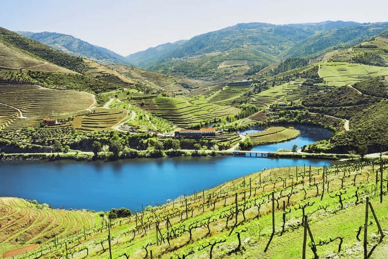 Porto: Douro Wine Tour with Lunch and River Cruise - First Winery: Port and Douro Wine in Context