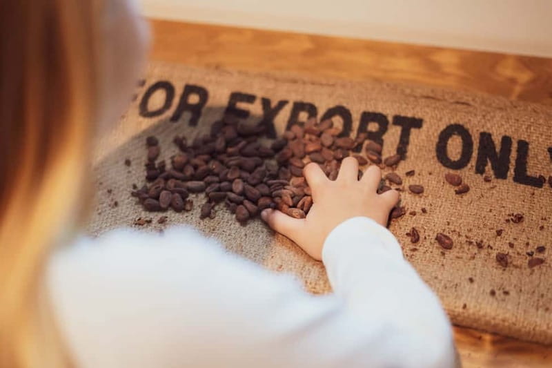 Porto: Entry Ticket at WOW The Chocolate Experience by 20|20 - From cacao fruit to plantation work