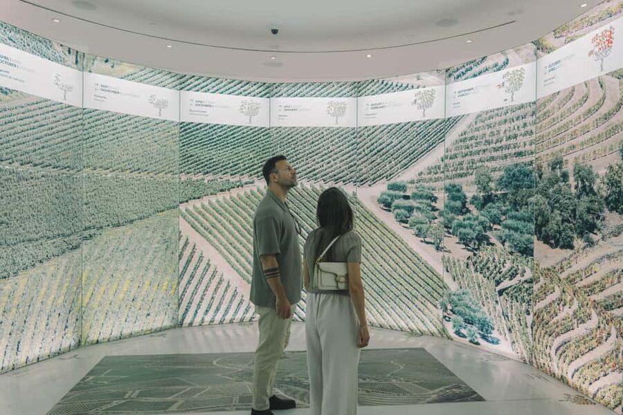 Porto: Entry Ticket at WOW - The Wine Experience Museum - Booking value and final verdict