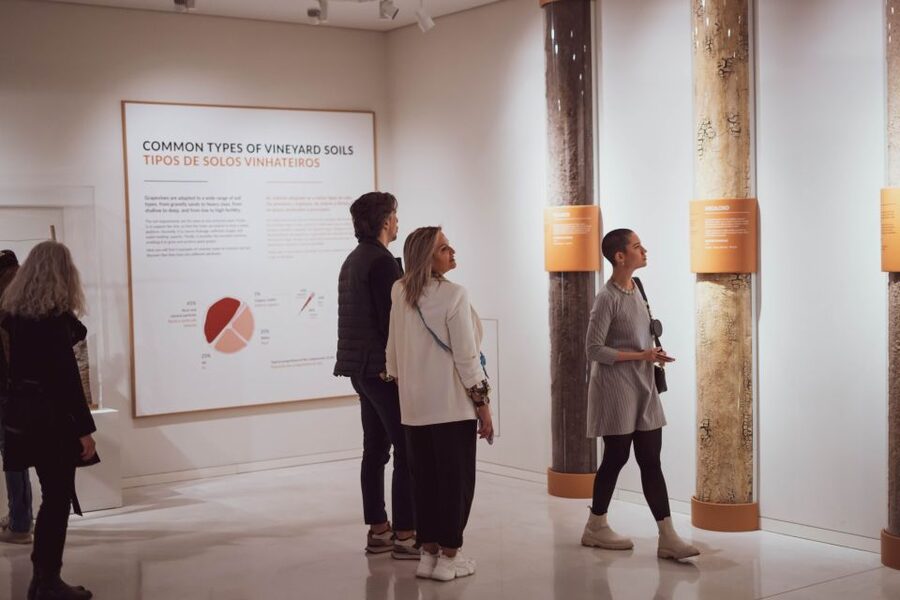 Porto: Entry Ticket at WOW - The Wine Experience Museum - Allow more than 90 minutes