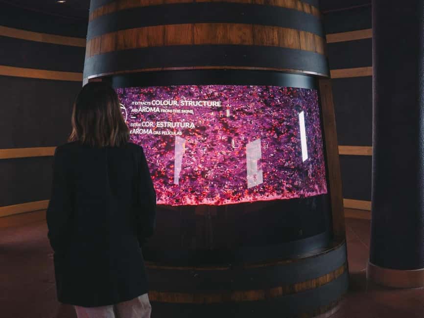 Porto: Entry Ticket at WOW - The Wine Experience Museum - WOW adds value to the visit