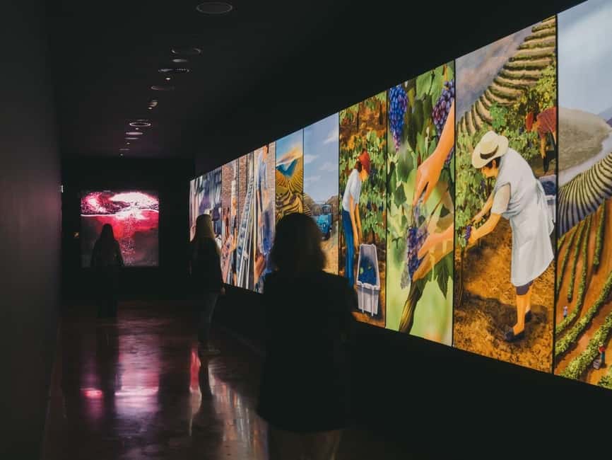 Porto: Entry Ticket at WOW - The Wine Experience Museum - Who will enjoy The Wine Experience most