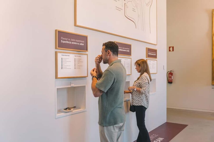 Porto: Entry Ticket at WOW - The Wine Experience Museum - Interactive displays without the usual museum fatigue