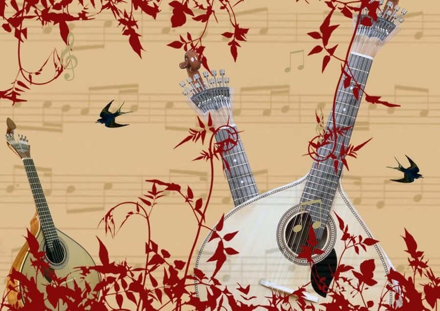 Porto: Fado Show with Dinner in a Traditional Fado House - Booking, timing, and practical details