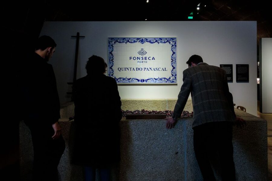 Porto: Fonseca Cellar Tour & Fado Show with Optional Dinner - Who will enjoy this Porto evening?
