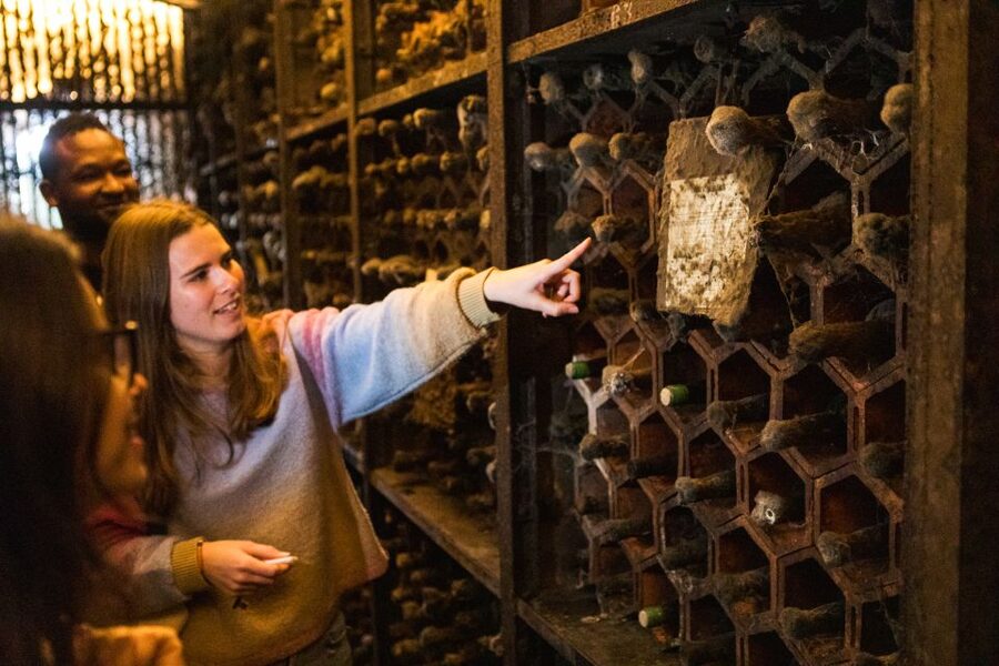 Porto: Food & Wine Tasting Walking Tour with Port Wine Cave - Key points to know before booking