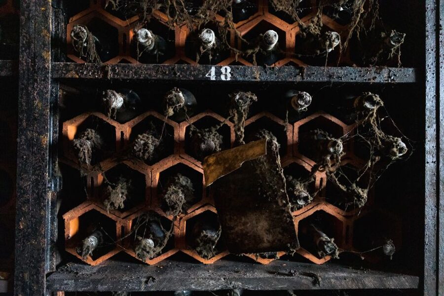Porto: Food & Wine Tasting Walking Tour with Port Wine Cave - Walking, weather, and dietary limits