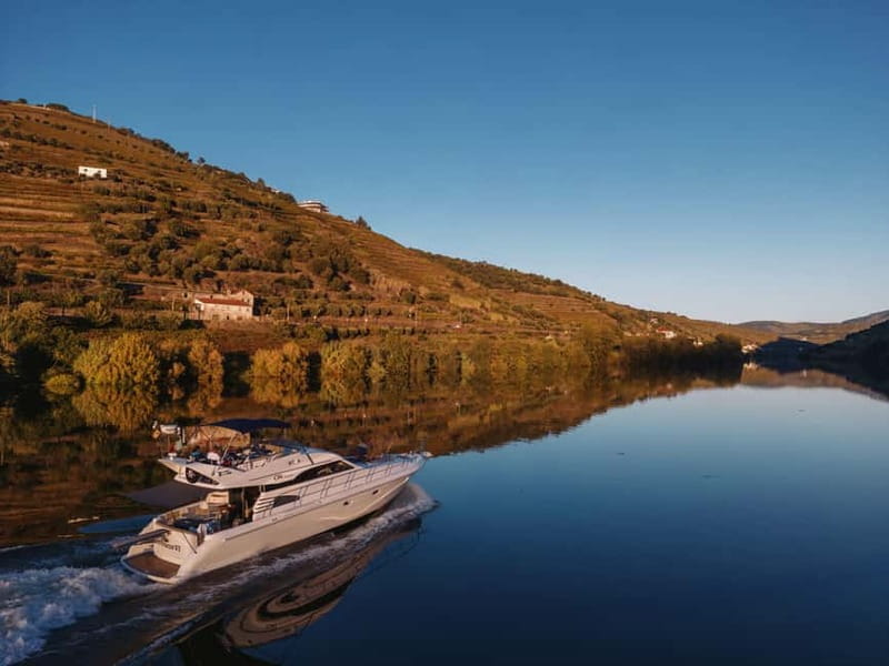 Porto: Full Day Douro River Cruise from Porto to Régua - Key points to know before booking
