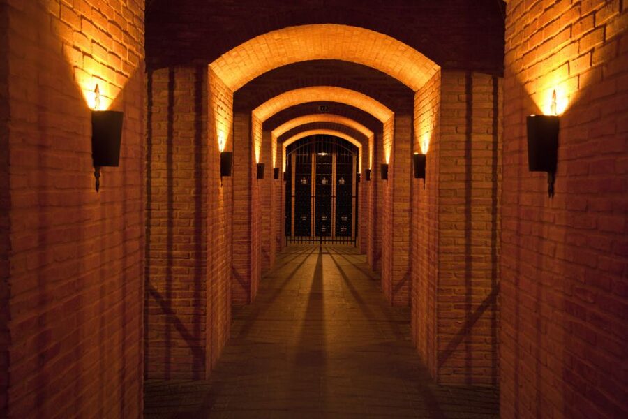 Porto: Graham's Port Lodge Tour with Premium Wine Tastings - Guides who make the history easier to follow