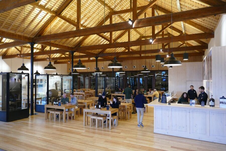 Porto: Graham's Port Lodge Tour with Premium Wine Tastings - The terrace view over Porto and the Douro