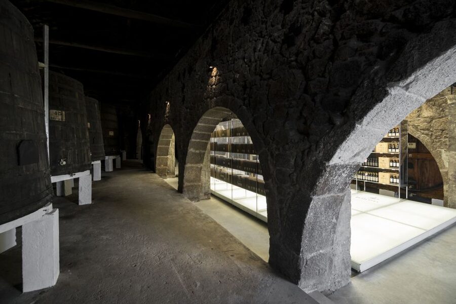 Porto: Guided City Walking Tour & Port Wine Cellar - From Cathedral views to Ribeira steps