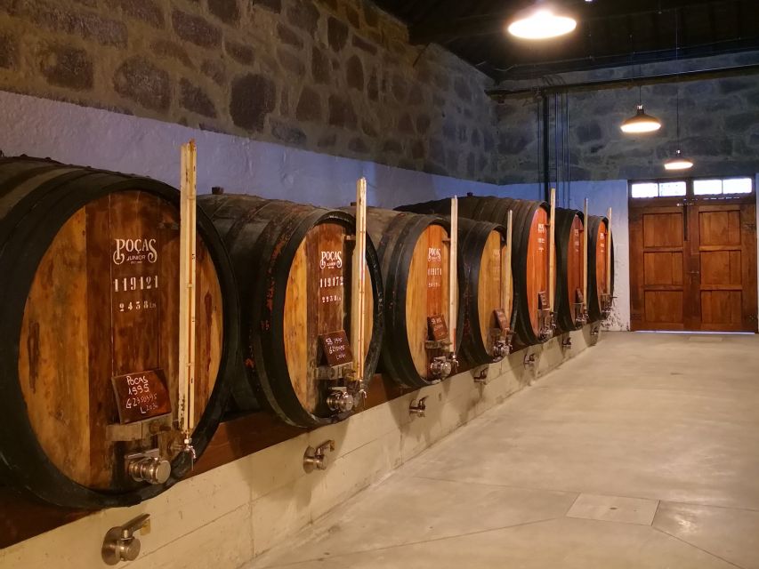 Porto: Guided Tour and Tasting of 3 Port Wines at Poças - Price, timing, and who gets the most value