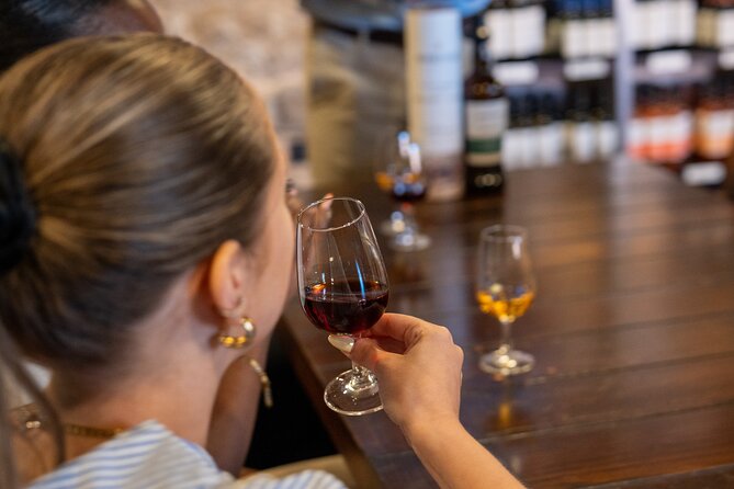 Porto Half-Day Guided Historical Tour with Port Cellar Visit and Tasting - What the $41.13 price delivers