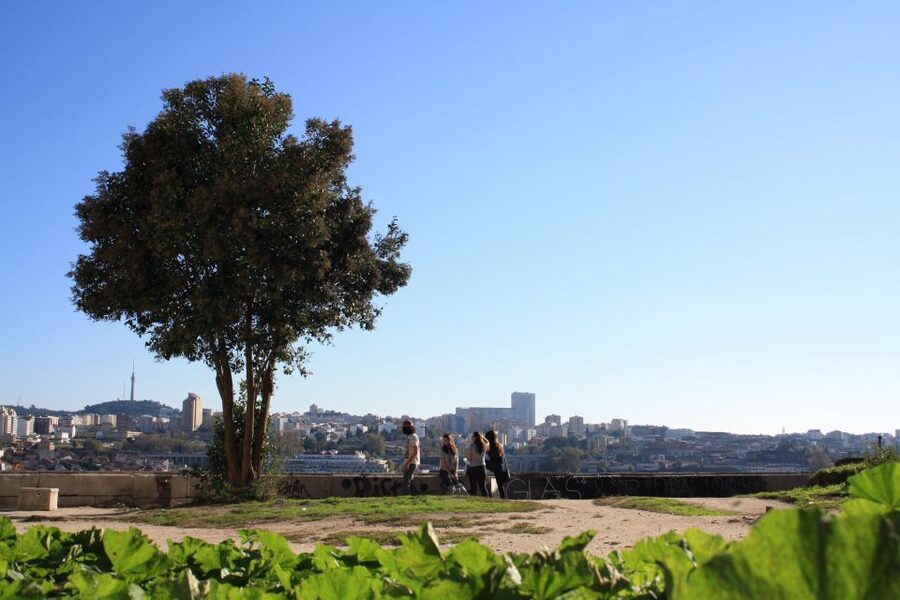 Porto: Half-Day Jewish Tour - Starting at Sé Cathedral and the Vimara Peres statue