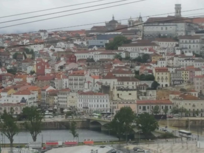Porto: Half-Day Small Group City Tour with port wine tasting - Aliados Avenue, Ribeira, and Porto’s big picture