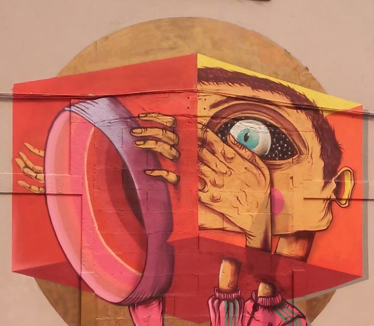 Porto: Half-Day Street Art Tour - A realistic look at the pace and weather