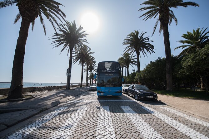 Porto Hop On Hop Off Bus Tour with Wine tasting & Night tour - Matosinhos and the Atlantic shore
