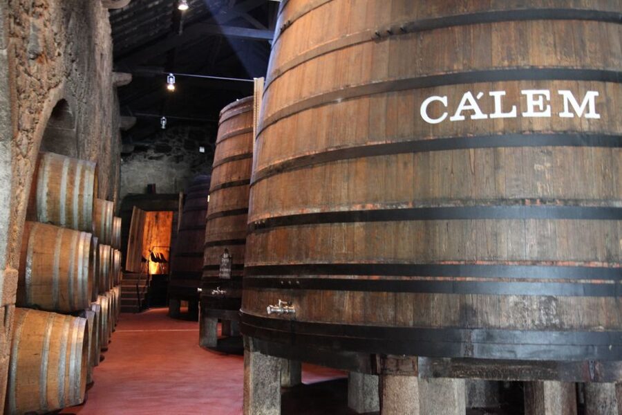 Porto: Hop-on Hop-off Bus with Optional Cruise & Wine Cellar - Blue Route: Porto’s parks, culture, and Atlantic edge