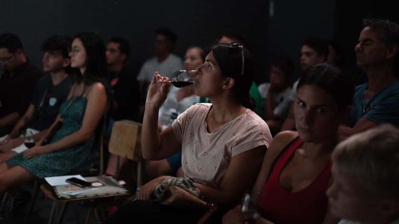 Porto: Live Fado Concert with Glass of Tawny Port Wine - The Portuguese Guitar and a Glass of Tawny Port